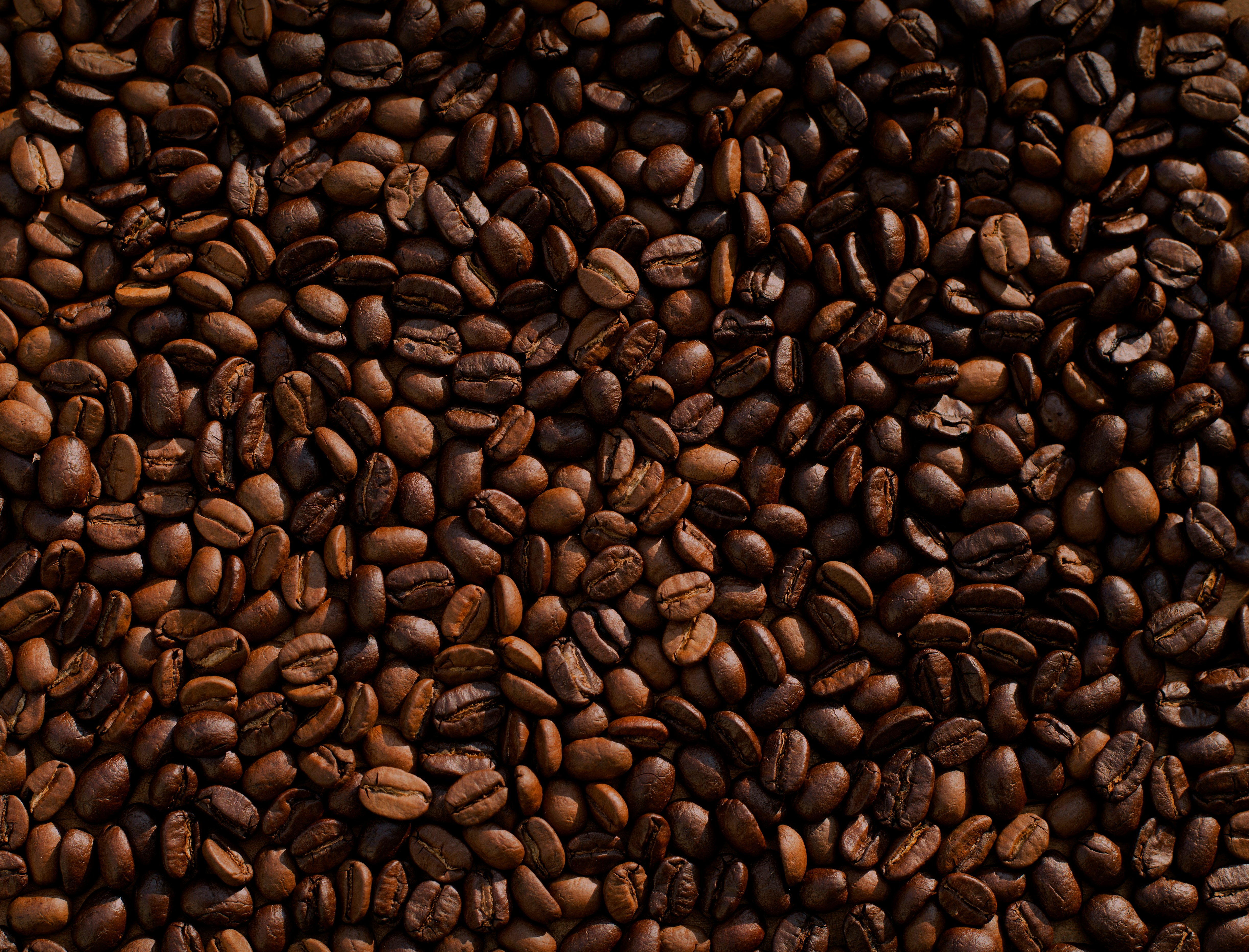 Coffee at Stone Coffee